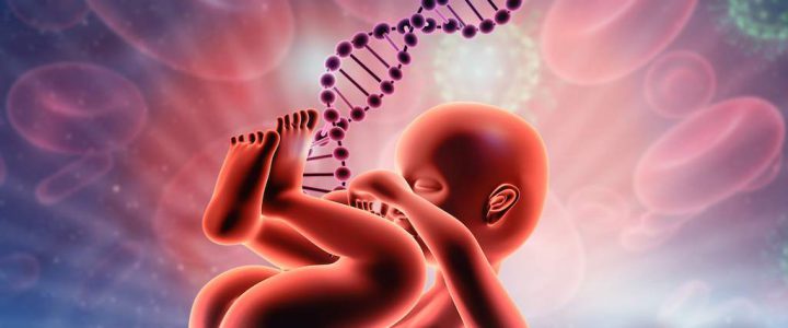 Fetal DNA Testi (NIFTY – NIPT)