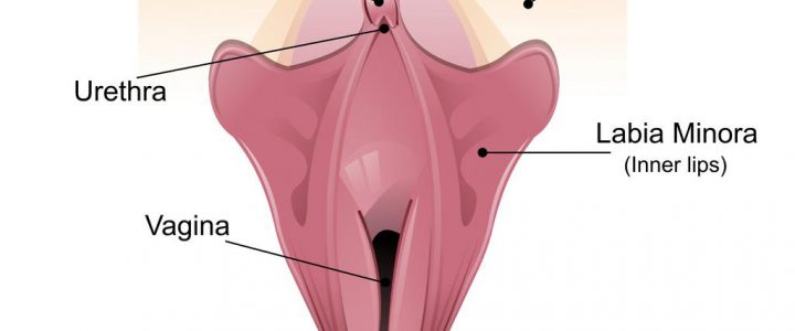 Klitoris Estetiği